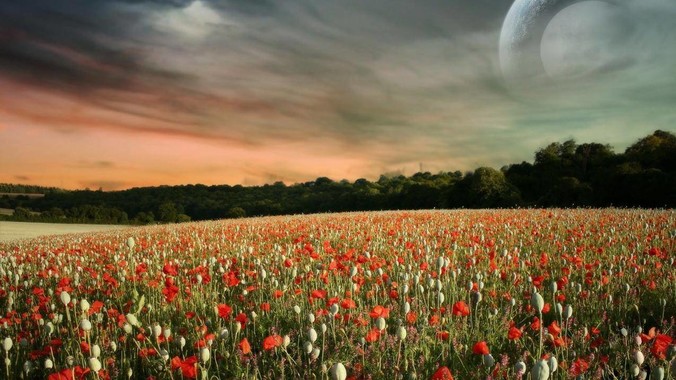 为什么这么久了还是没有主流软件开发鸿蒙版？